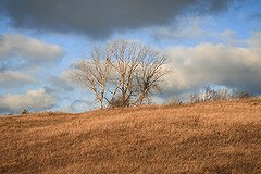 Аномального тепла в ноябре больше не будет