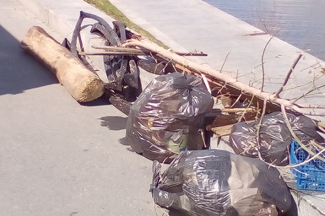 На дне осушенного Городского пруда в Екатеринбурге обнаружилась помойка