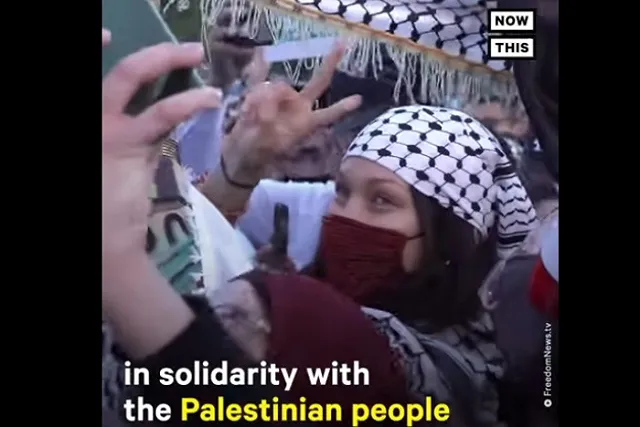 Dior «отменил» топ-модель из-за ее поддержки палестинцев