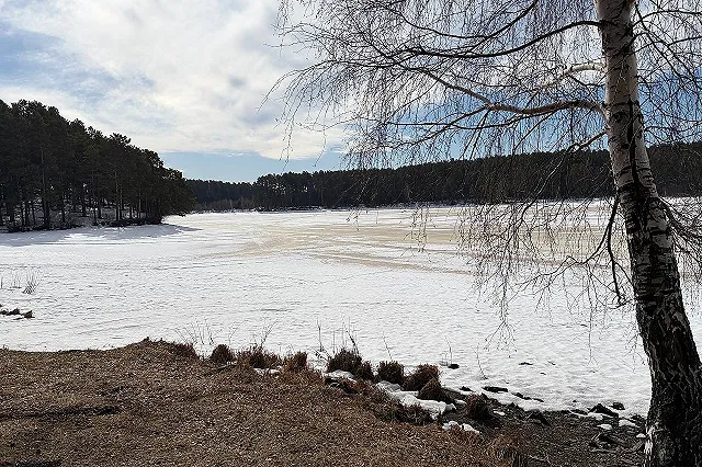 Грозит ли Свердловской области нашествие клещей-мутантов, о которых заговорили в СМИ