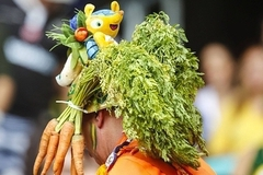 Матч Россия-Бельгия можно завтра посмотреть в ЦПКиО