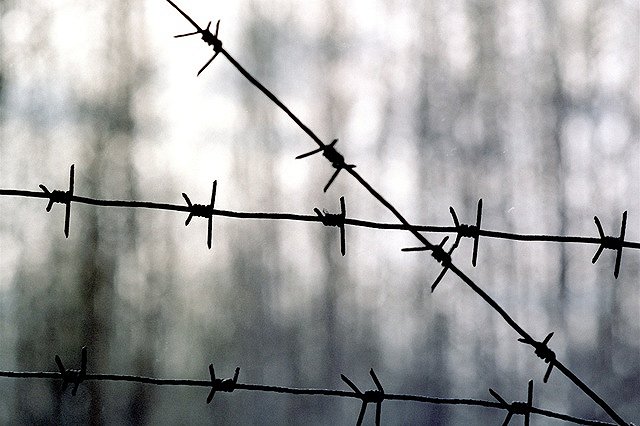 Любитель поэзии, убивший любителя прозы в Ирбите, получил 8 лет колонии