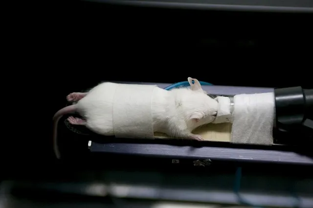 Роспотребнадзор взялся за медцентры, зазывающие на бесплатные диагностики