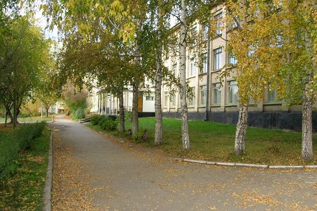 Выходные с метлой: в Екатеринбурге и области пройдёт субботник «Зелёная Россия»