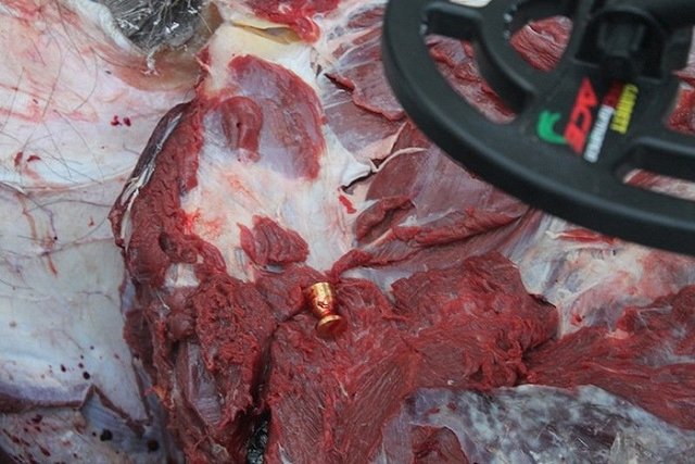 На Урале браконьер не поленился 1 января пойти в лес за «подарком» семье