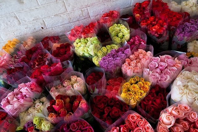 Подготовка к 8 Марта идёт полным ходом: в Кольцово привезли 160 тонн цветов