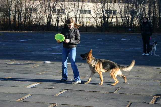 Взял собаку из приюта — стань героем фотовыставки