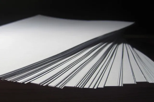 Бюджет первой цифровой переписи населения в 2020 году составит 33 млрд рублей