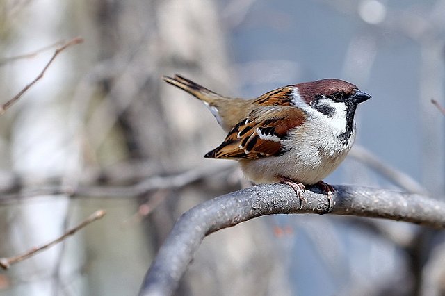 Погода в Екатеринбурге и Свердловской области на 27 марта 2021