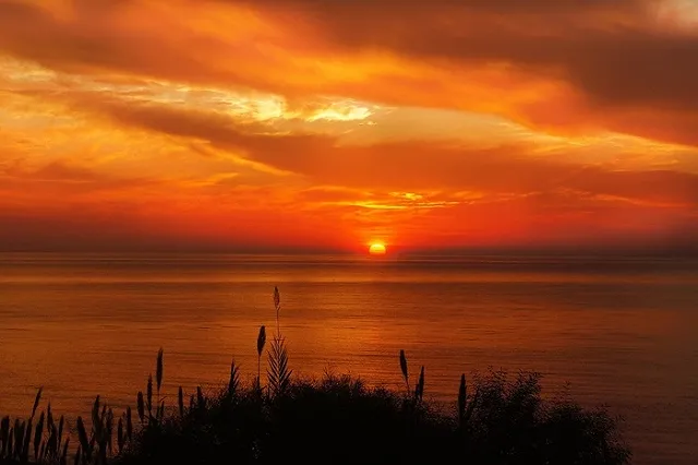 Ученый сообщил, какое будет лето на Урале