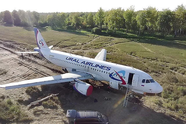 Пилот «Уральских авиалиний», посадивший самолет в поле, идет на выборы