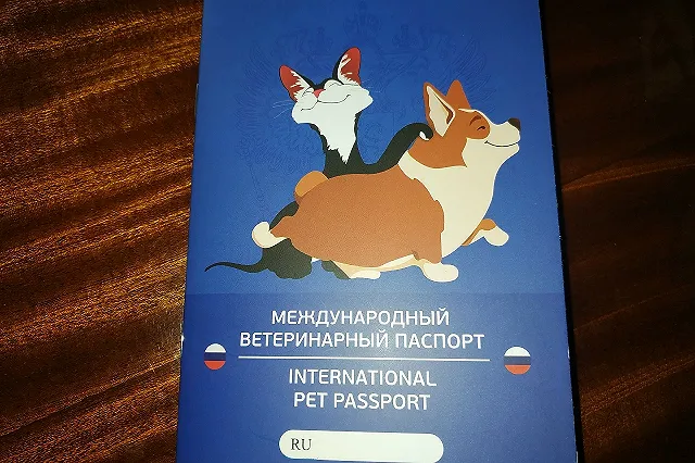 Юрист рассказал, какие документы на питомца нужны в путешествии