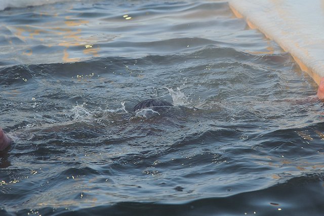 Заболеваемость ОРВИ в Екатеринбурге превысила эпидпорог на 10,5%