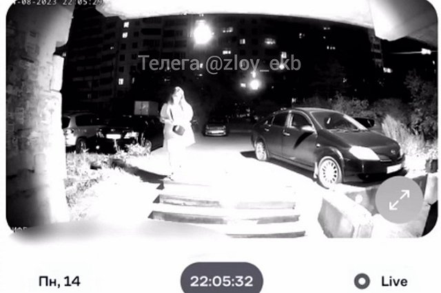 Неизвестный пытался напасть на екатеринбурженку в лифте