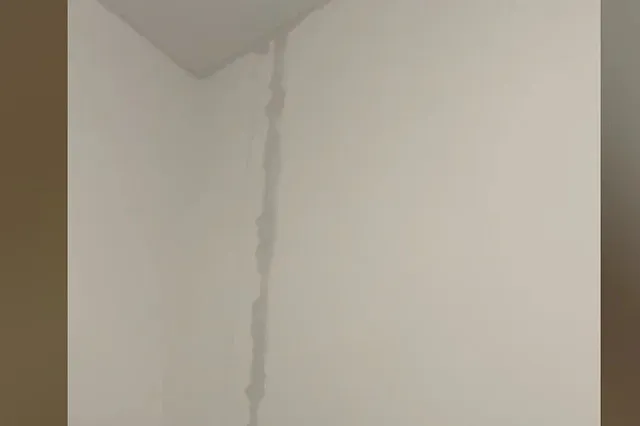 «Привет, плесень»: в Солнечном затопило новостройку