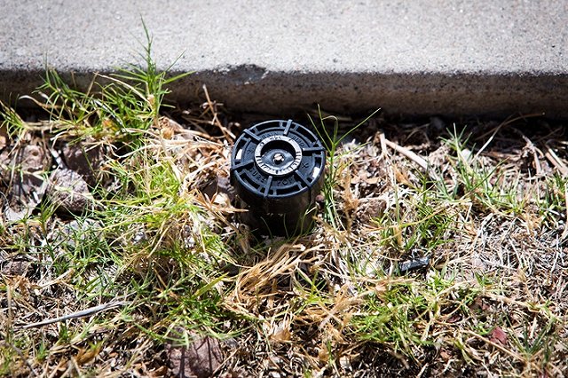 Беверли-Хиллз оштрафован за расточительное отношение к воде