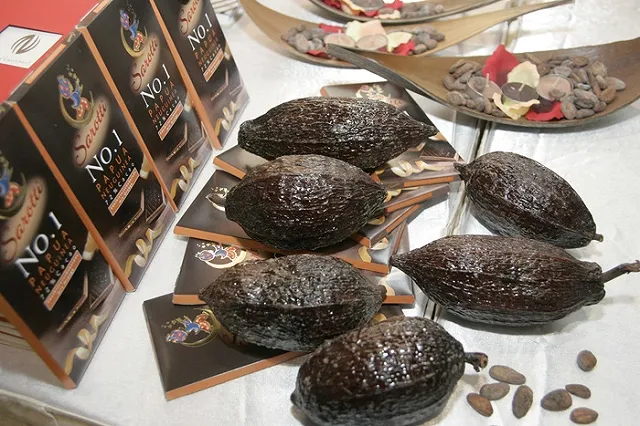 Какао-бобы подорожали в Лондоне до максимума за 39 лет