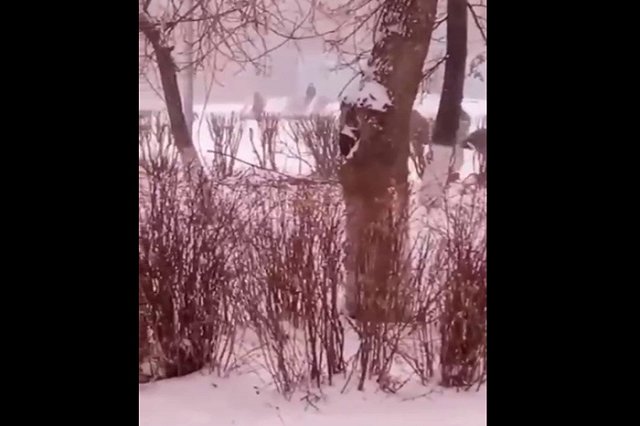 В Березовском дети под присмотром бабушки использовали вместо горки Мемориал боевой доблести