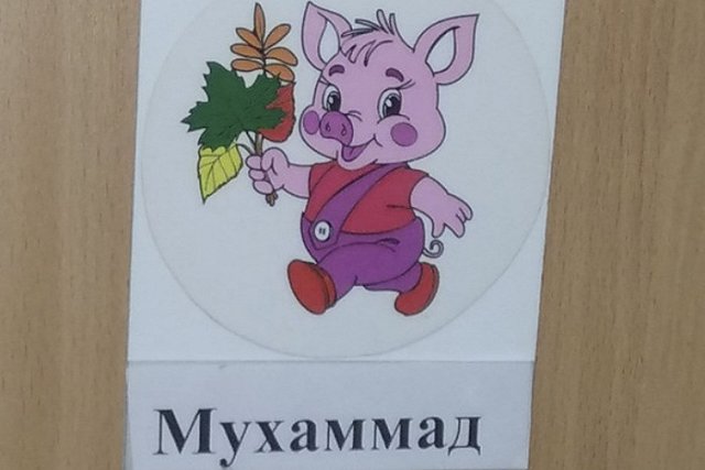 В сети удивились румяному поросенку на шкафчике мальчика Мухаммада