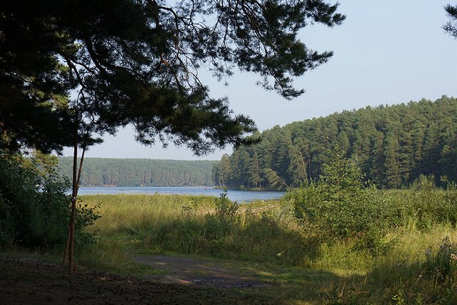 Суд Сысерти запретил природному парку «Бажовские места» брать деньги за вход