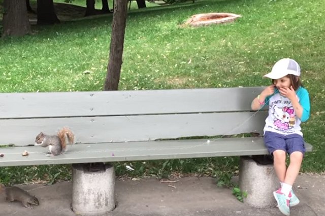 В Канаде мужчина попросил белку вырвать шатающийся молочный зуб его дочери