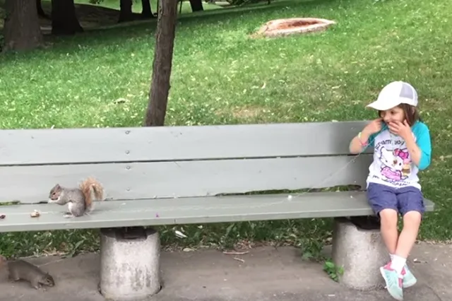 В Канаде мужчина попросил белку вырвать шатающийся молочный зуб его дочери