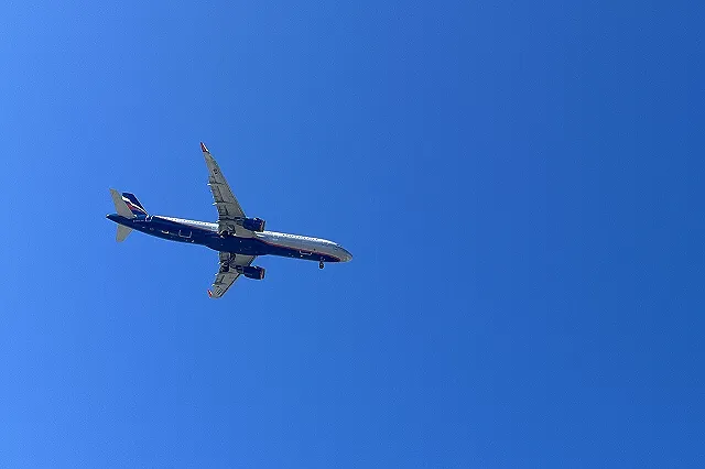 Свердловчане вновь не могут улететь в Санкт-Петербург