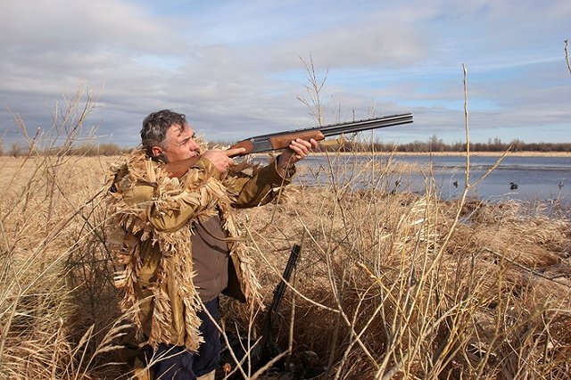 Медведь ранил охотника в Томской области, животное убито
