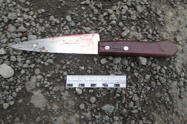 Зарезал жену и любовника: силовики рассказали подробности двойного убийства в Бисерти