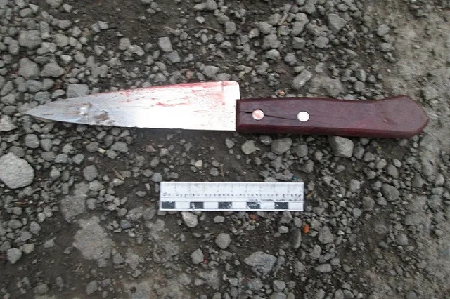 Зарезал жену и любовника: силовики рассказали подробности двойного убийства в Бисерти