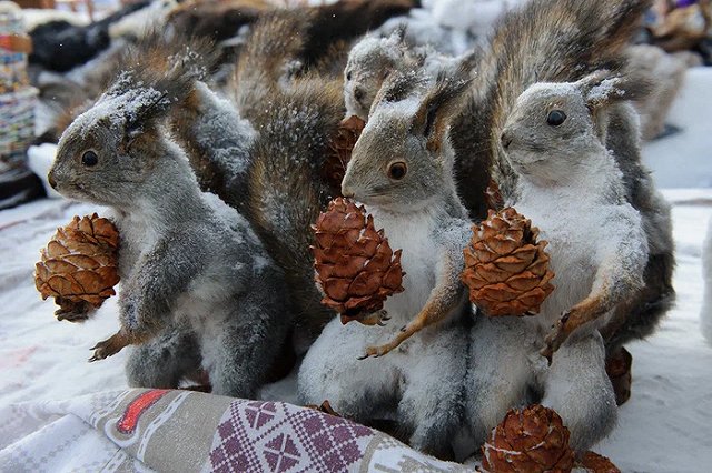 В Екатеринбурге потеплеет до +16. Но сначала придётся помёрзнуть