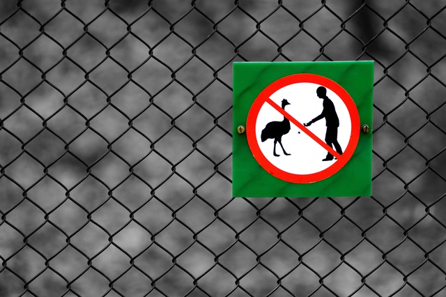 В ташкентском зоопарке животные гибнут из-за издевательств посетителей