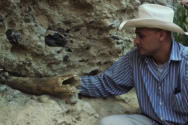 Ученые рассказали о роли мамонтов в хозяйстве древних людей