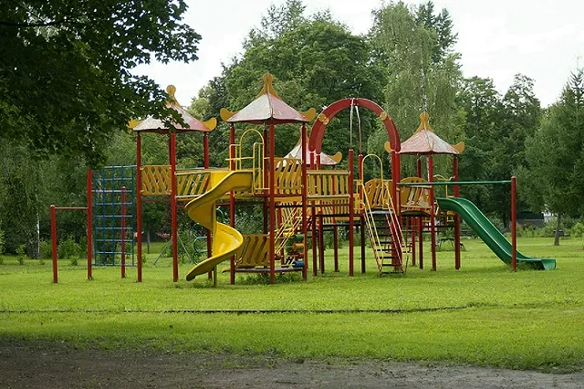 Прокуратура начала проверку по факту вызова бойцов на детскую площадку