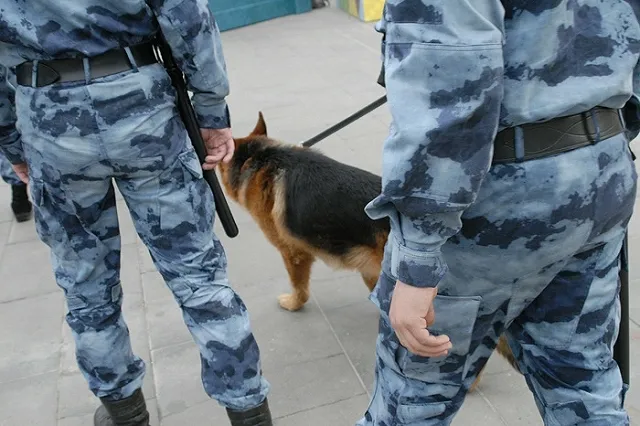 Избитый директор компании «Средураллифт»: конфликтов с УК у нас не было