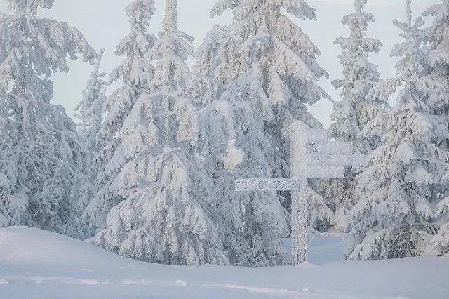 В Невьянске огнеборцы помогли заблудившимся лыжникам выйти из леса