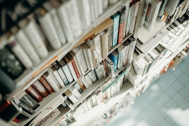 В Екатеринбурге из библиотек изымают детскую книгу из-за «либерально-европейских настроений»