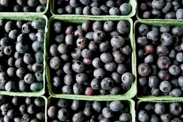 Минсельхоз назвал рекордным прошлогодний урожай плодов и ягод в России