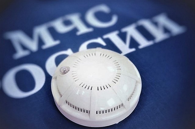 Под Калининградом в результате конфликта ритуальщиков сгорел микроавтобус с усопшей внутри