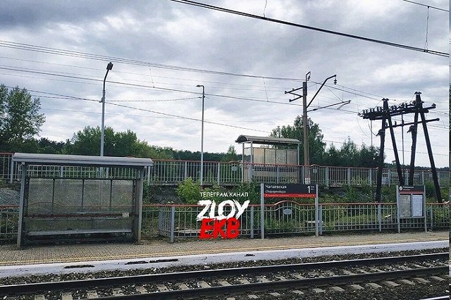 Установлена личность женщины, найденной в Екатеринбурге зарезанной