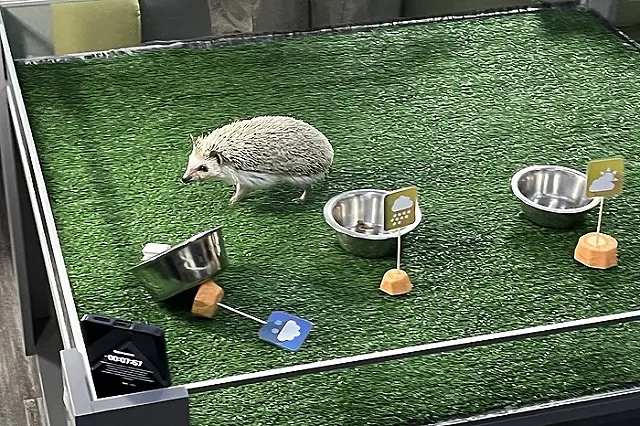 Необычный «синоптик» сообщил, какой будет весна в Свердловской области