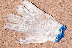 &quot;Медвежатники&quot; с Урала задержаны тюменской полицией