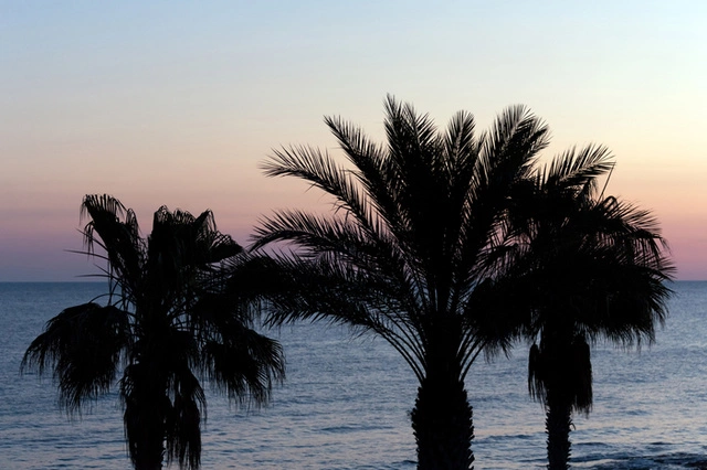 Средний чек на пакетный тур для россиян за год увеличился на 18%