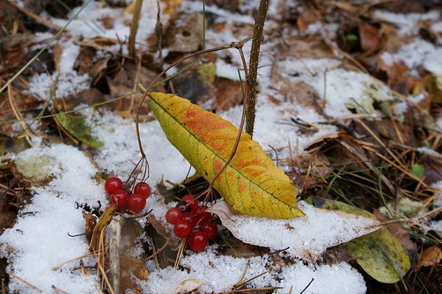 Екатеринбуржцам срезали батареи в домах накануне снегопада