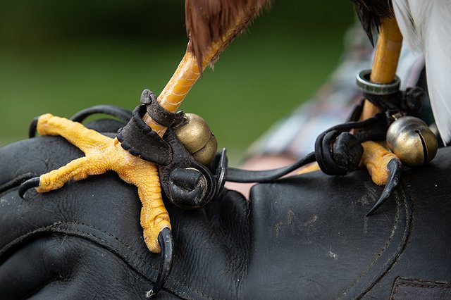 В Свердловской области охоту превратят в туриндустрию с господдержкой