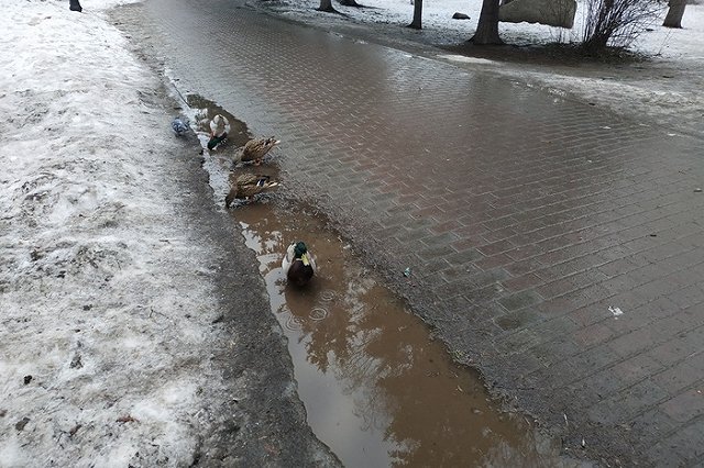 Прокуратура выясняет обстоятельства коммунальной аварии в Камышлове