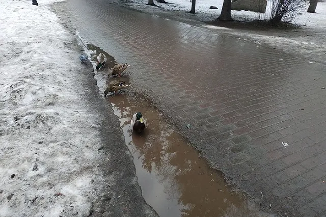 Прокуратура выясняет обстоятельства коммунальной аварии в Камышлове