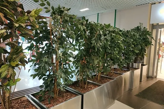 Титов считает, что QR-коды равны локдауну