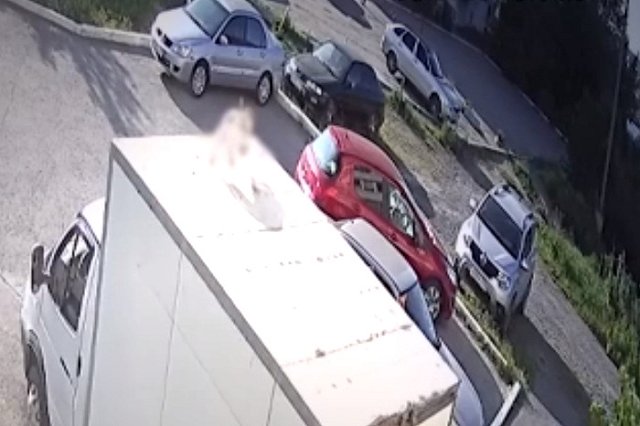 Свердловчанин выбросил свою собаку с седьмого этажа