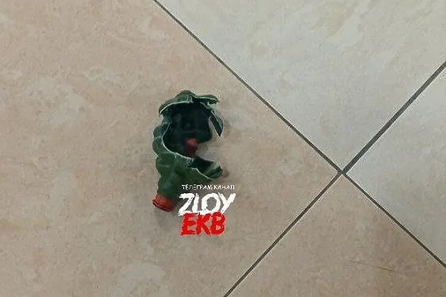 В екатеринбургском торговом центре два молодых человека взорвали гранату